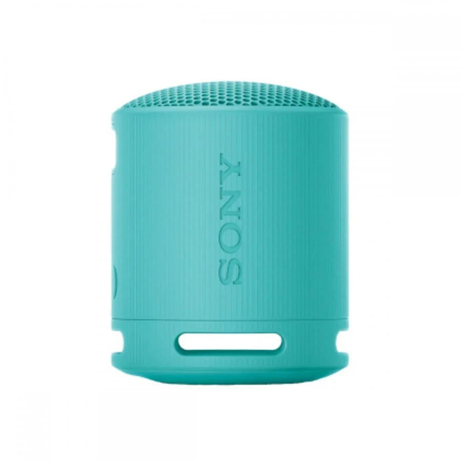 Sony SRS-XB100 Bluetooth speakers - Blue