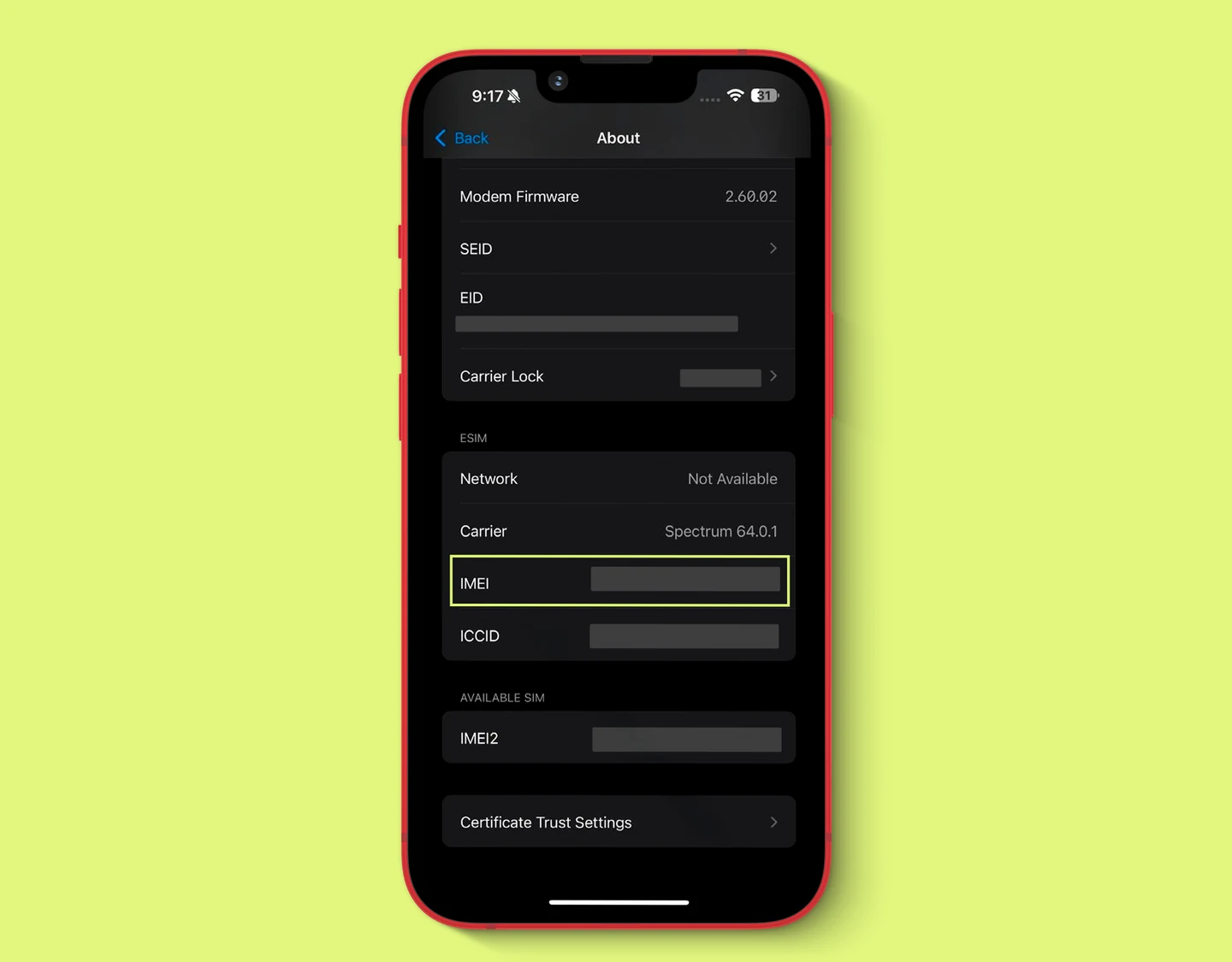 iPhone screen showing “IMEI” in Settings.