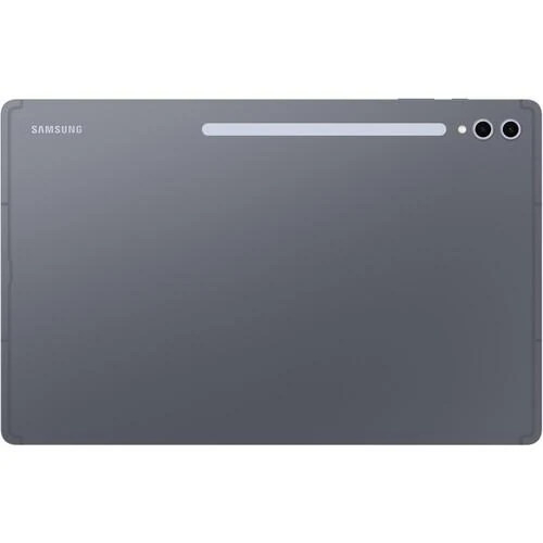 Galaxy Tab S10 Ultra 256GB - Gray - (Wi-Fi)