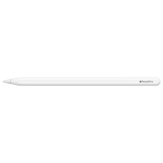 Apple Pencil (Pro) - 2024