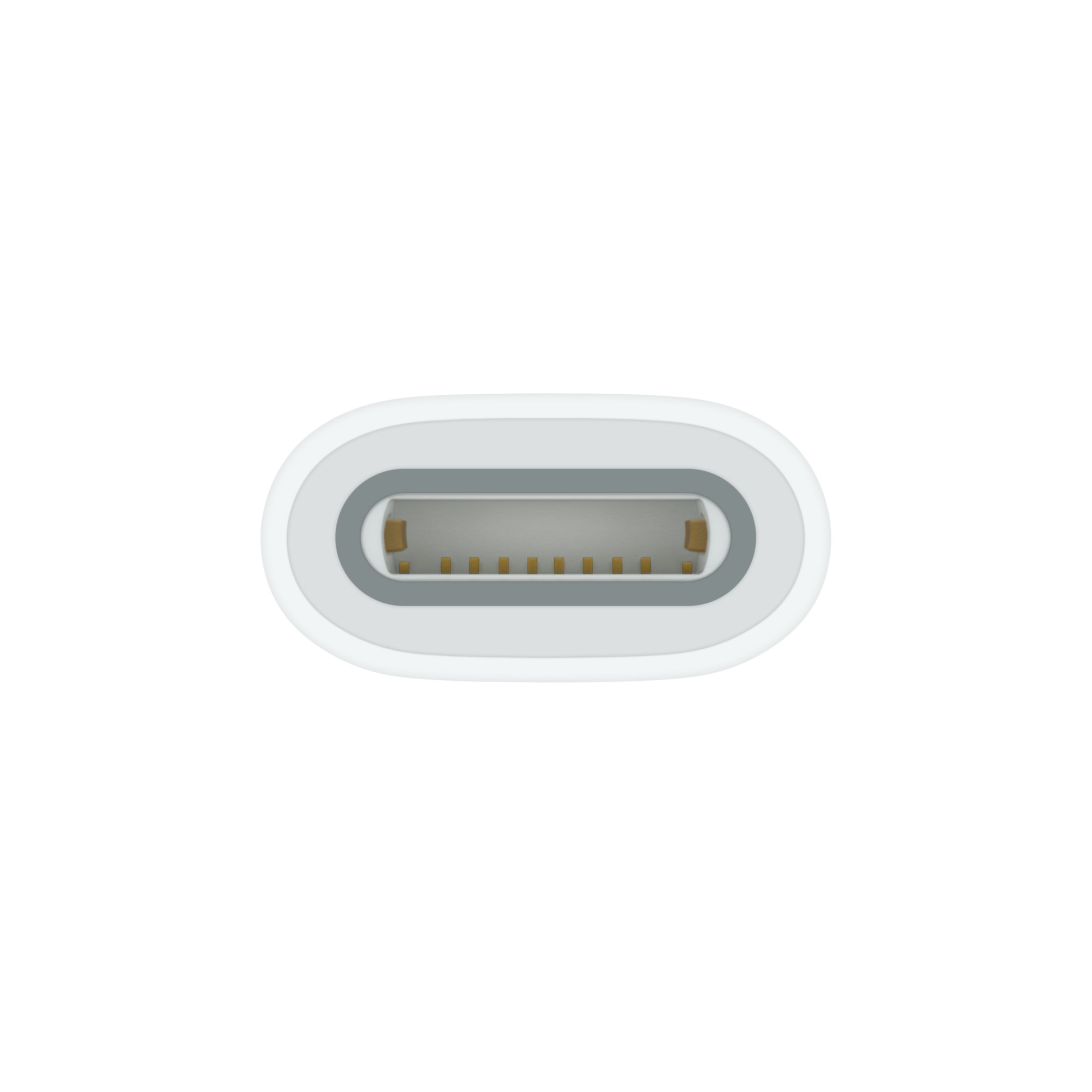 USB-C to Apple Pencil Adapter