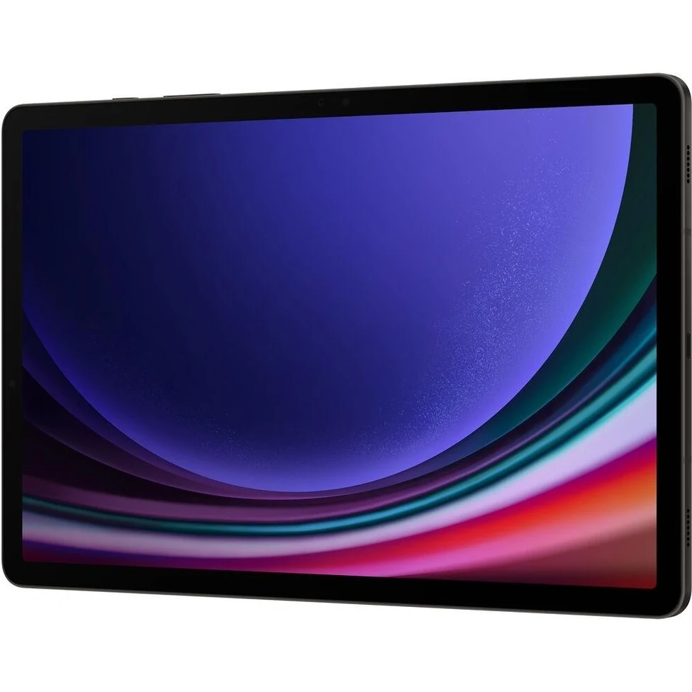 Galaxy Tab S9 128GB - Gray - (Wi-Fi)