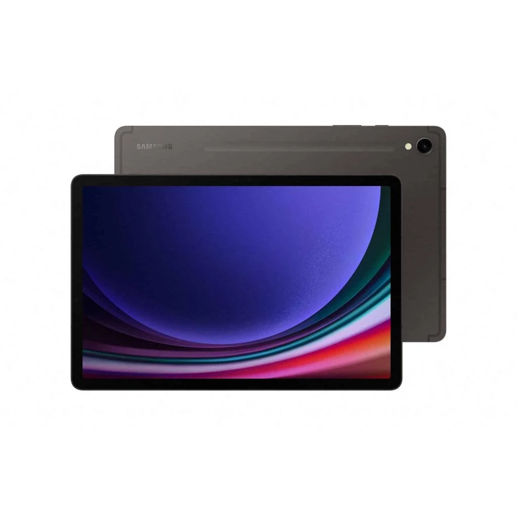 Galaxy Tab S9 Ultra 512GB - Gray - (Wi-Fi)